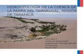 HIDROGEOLOGÍA DE LA CUENCA DE LA PAMPA DEL …sitiohistorico.sernageomin.cl/pdf/geologia/HidrogeologionRegTarapaca.pdf · hidrogeología, hidrogeoquímica e isotopía). • En el