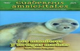  · En la costa de Granada han identificado un total de seis especies de cetáceos, dos de tortugas marinas y una de pinnipedos. Nueve especies en total, las cuales están todas protegidas