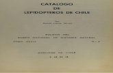 CATALOGO DE LEPIDOPTEROS DE CHILEpublicaciones.mnhn.gob.cl/668/articles-63986_archivo_01.pdf · 2016-07-14 · Durante veinticuatro años de su vida el Doctor Ureta, fue ... en la