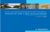 PROGRAMA DE FORTALECIMIENTO INSTITUCIONAL DE LA ... · puedan desarrollarse dentro del territorio que comprende el Municipio de Monte de los Gauchos de forma positiva y buscando potenciar