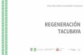 Proceso para el Programa especial de regeneración urbana y ... · Reubicación del busto Javier Solís. Reparación de jardineras circulares, nivelación, relleno, colado y compactación