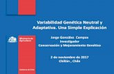 Variabilidad Genética Neutral y Adaptativa. Una Simple Explicación · ambiental antropogénico, a través de respuestas a la selección y adaptación. La relación entre la diversidad