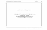 Temario del tercer semestre de la Licenciatura en Derecho · 2013-06-03 · obligación: Los sujetos, el objeto y la relación jurídica. La teoría francesa y la alemana de Schuld