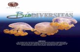MEDUSAS - Biodiversidad Mexicana...Las medusas pertenecen al phylum cnidaria, al igual que las anémonas, corales, abanicos y plumas de mar. dentro del phylum, podemos encontrar medu-sas