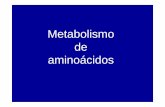 Metabolismo de aminoácidos - Biología Celular y Bioquímica · En los adultos sanos la degradación y la síntesis de proteínas son equivalentes y se mantiene el balance nitrogenado,