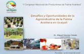 La Agroindustria de la Palma de Aceite en Colombia …junpalmaperu.org/congreso-nacional-de-productores-de...Demanda insatisfecha 290,472 * Se exporto 34,473 t Importaciones de Aceite