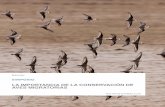 LA IMPORTANCIA DE LA CONSERVACIÓN DE AVES MIGRATORIAS · cia para la conservación del pájaro campana, que según los datos de ebird se mueven en sus migraciones altitudinales entre
