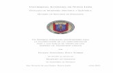 Universidad Autonoma de Nuevo Le oneprints.uanl.mx/3449/1/1080227428.pdf · Irarragorri por los conocimientos aportados y sus consejos en el trabajo de tesis. Al Dr. Rafael Caballero