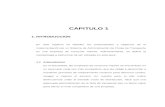 CAPITULO 1 - ESPOL · Web viewCAPITULO 1 1. INTRODUCCION En este capítulo se detallan los antecedentes y objetivos de la implementación de un Sistema de Administración de Flotas
