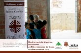 Presentación de PowerPointcaritasvenezuela.org/wp-content/uploads/2019/02/9no-Boletin-SAMAN... · Consideraciones del Contexto En el mes de Diciembre 2018, una familia requiere de