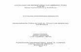 Catalogo de repertorio colombiano para violin (1)-convertido · 2019-05-09 · Música para Clarinete, Violín y Piano Op 91 No. 2 1980 Cl, vln y pno 87 Blas Emilio Atehortúa Concertante