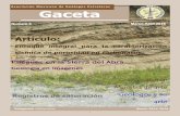Asociación Mexicana de Geólogos Petroleros Gaceta · 2017-10-17 · Este resumen presenta un flujo de trabajo in-tegrado aplicable a la caracterización sísmica de yacimientos