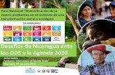 Desafíos de Nicaragua ante los ODS y la Agenda 2030fesamericacentral.org/files/fes-america-central/actividades/nicaragua... · Desafíos de Nicaragua ante los ODS y la Agenda 2030