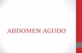 Presentación de PowerPointdipsa.com/ClanDunant/Textos/TUM - ABDOMEN AGUDO.pdf(agudo) •Dermatomos de la piel T6 y L1 •Mejora con la posición fetal. (relaja el peritoneo parietal)