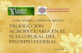 FORO BEIJING –CIUDAD DE MÉXICO PRODUCCIÓN … · 2017-12-08 · Es uno de los cultivos más antiguos de Mesoamérica, los Aztecas, Mayas e Incas, quienes lo consumían en igual