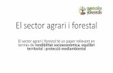 El sector agrari i forestal té un paper rellevant en ... sector agrari i forestal.pdf · •El sector primari Agricultura i la ramaderia, la pesca, la mineria i l’activitat forestal.