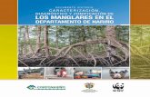 Documento - Pandaawsassets.panda.org/downloads/caracterizacion_manglares_final_web.pdf · y subtropicales, localizados en áreas protegidas de las fuer-tes olas, que relacionan al