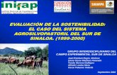 EVALUACIÓN DE LA SOSTENIBILIDAD: EL CASO … de agroforesteria/seminarios y...PROBLEMÁTICA AMBIENTAL Y SOCIOECONÓMICA •Existen 720 810 bovinos (45% del total estatal) criollosxcebú