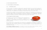 I. Conceptualización 1. Conceptos Generales 1.1 Introducción 1.pdf · 1.8.2 Tomate de Cocina: Estos tomates no son tan jugosos como los tomates de ensalada, por lo tanto el sabor
