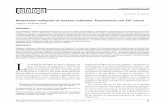 Neoplasias malignas de anexos cutáneos. Experiencia con 247 … · 2011-06-07 · 12 Patología Revista latinoamericana Volumen 49, núm. 1, enero-marzo, 2011 Fernández Díez JR