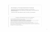 Ecología y Comportamiento Animalserver.ege.fcen.uba.ar/eyca/eyca_2015/Teoricas_files/Teorica_5.pdf · Ciclo de vida de cigarras y dilución Duración de los ciclos de vida de las
