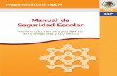 Manual de Seguridad Escolar - TamaulipasManual de Seguridad Escolar Presentación El Gobierno Federal, en coordinación con los gobiernos estatales y municipales, lleva a cabo acciones
