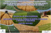 ÍNDICE - globalcampo.es...Castellano-Manchego, con el fin de poner a disposición de los agricultores las ... más homogeneidad en el ensayo. TL indica el porcentaje del valor de