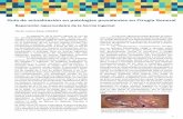 Guía de actualización en patologías prevalentes en Cirugía ...aac.org.ar/guias/5_juarezmuas.pdf · Derlin Juárez Muas (MAAC) 1 Guía de actualización en patologías prevalentes