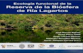 Ecologia funcional de la Reserva de la Biósfera Ría Lagartossii.ecosur.mx/Content/ProductosActividades/archivos/25495/textocompleto 0.pdf · 1.1. CAPITULO 1. Historia y situación