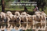 Ganadería Colombiana 2018 2022 HOJA DE RUTA …static.fedegan.org.co.s3.amazonaws.com/publicaciones/...La prioridad de este Plan –Ganadería Colombiana – Hoja de Ruta 2018 –