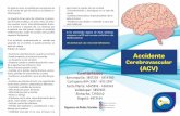 Cerebrovascular (ACV) Contáctanosbienestarips.com/wp-content/uploads/2018/08/ACV-largo.pdf · 2018-08-20 · • Personas que tienen cardiopatía o mala circu-lación en las piernas