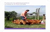 Producción de gallinas ponedoras y manejo de la …1.3 Programa de manejo en las diferentes fases de producción La crianza, manejo y producción de las gallinas ponedoras, comprende