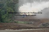 Presentación de PowerPoint - Inicio - Praderas y Pasturaspraderasypasturas.com/rolando/06.-Charlas_y_Seminarios/... · 2013-07-21 · Enmiendas y Fuentes de Fosforo en la Fertilización