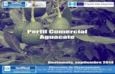 Presentación aguacate.pdf · 2018-12-14 · Perfil comercial del aguacate 1 –8 Aguacate1 El aguacate (Persea americana) está identificado internacionalmente bajo la subpartida