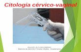 Citología cérvico-vaginal...Citología Cérvico-vaginal (II) Ventajas del método de base líquida (II) 4) En la laminilla obtenida para su evaluación las células se disponen en
