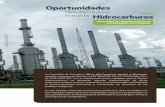 Oportunidades - Derecho, Ambiente y Recursos Naturales · 2018-11-08 · AMPLIANDO EL DEBATE HACIA LAS INVERSIONES SOSTENIBLES Oportunidades en el sector Hidrocarburos hacia una nueva