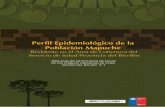 Perfil Epidemiológico de la Población Mapuche · 2018-04-11 · de las comunidades indígenas Mapuches Pehuenches y Mapuches Moluches de la Provincia del Bío-Bío”. ÍNDICE DE