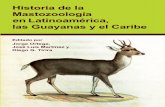 7862 Libro Mastozoología portada - Murcielago Blancoeditorial.murcielagoblanco.com/images/pdf/RodriguezDuran... · 2017-02-09 · 7862 Libro Mastozoología portada. HISTORIA DE LA