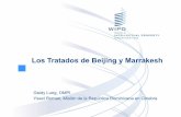 Los Tratados de Beijing y Marrakesh · 2014-07-30 · Ysset Roman, Misión de la República Dominicana en Ginebra . Marco internacional. Tecnología y Tratados. Tratado de Beijing.