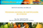 INSTITUTO NACIONAL DE SEMILLASdestacados.inia.org.uy/images/pres/7aks9xl4864j7t4dorz4.pdf · Diciembre 2013. “Consorcio del Programa de Saneamiento y Certificación de Plantas Cítricas”.