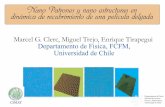 Marcel G. Clerc, Miguel Trejo ... - Universidad de Chilemclerc/Pdf/Talks/NanoPatron.pdfModelo teórico de una monocapa Modelos continuos que describen ... [c,t] describe los procesos