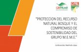 “PROTECCION DEL RECURSO NATURAL BOSQUE Y EL … · Protección del Recurso Natural Bosque y el Compromiso de Sostenibilidad del Grupo M.E.M.E. Información a nivel nacional: •