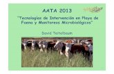 AATA 2013-DTLa preocupación por el uso de antibióticos en ganadería y la resistencia a los antimicrobianos obstaculizan futuras investigaciones en esta área. Los beneficios potenciales