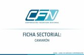 Presentación de PowerPoint - CFN · 2017-10-10 · EXPORTACIONES Fuente: Banco Central del Ecuador Elaborado por: Subgerencia de Análisis e Información En el 2016, el sector exportó