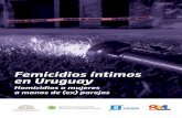 Femicidios íntimos en Uruguay · 2017-05-29 · relación con esta importante temática. Cabe preguntarse, por ejemplo, qué lugar le cabe, si es que alguno, en la prevención de