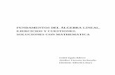 › bitstream › handle › 10810 › 16209 › Libro... · FUNDAMENTOS DEL ÁLGEBRA LINEAL. EJERCICIOS Y …2017-05-02 · FUNDAMENTOS DEL ÁLGEBRA LINEAL. EJERCICIOS Y CUESTIONES.