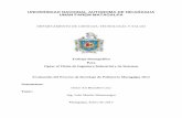 UNIVERSIDAD NACIONAL AUTONOMA DE NICARAGUA UNAN …repositorio.unan.edu.ni/7043/1/6563.pdfsirvieron de apoyo para esta investigación. La contaminación ambiental y general que producen