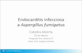 Endocarditis infecciosa Aspergillus fumigatusinfectologia.edu.uy/media/k2/attachments/marzo2017/Endocarditis_Infecciosa_marzo2017.pdf•HC x 2, retrocultivo y Cultivo de Pta de Catéter