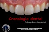 Cronologia dental - BD Clínica Odontológica · Dentes uniradiculares Os dentes uniradiculares são classificados devido a sua única raiz, podendo haver mais de um canal. São eles: