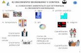 4) CRECIMIENTO MICROBIANO Y CONTROLdepa.fquim.unam.mx/.../Tema04/T-04-Crecimiento-201.pdf · 4.3 CURVA DE CRECIMIENTO MICROBIANA: FASES Y CARACTERÍSTICAS. CINÉTICA DE CRECIMIENTO.